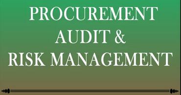 procurement Audit and risk management