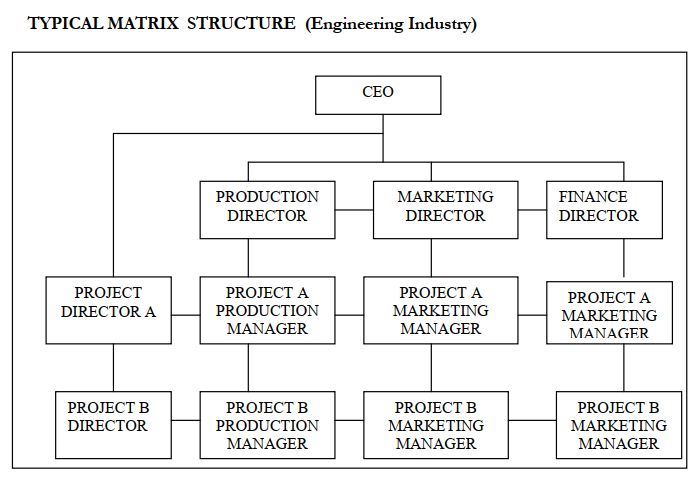 TYPICAL MATRIX STRUCTURE (Engineering Industry